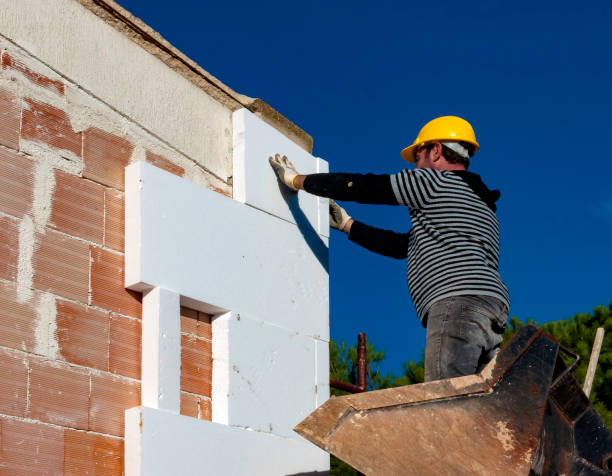 Best Attic Insulation Installation  in Trezevant, TN