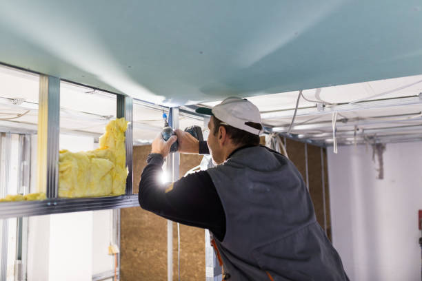 Best Attic Insulation Installation  in Trezevant, TN