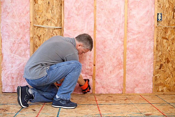 Best Insulation Contractors for Homes  in Trezevant, TN