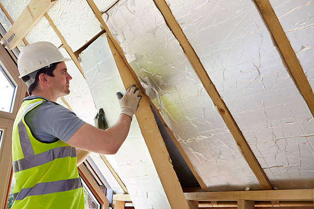 Best Spray Foam Insulation  in Trezevant, TN